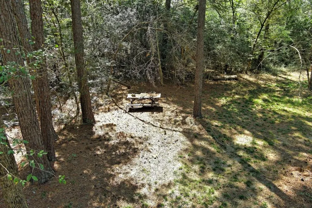 Bryan Lane Willis, TX 77378
