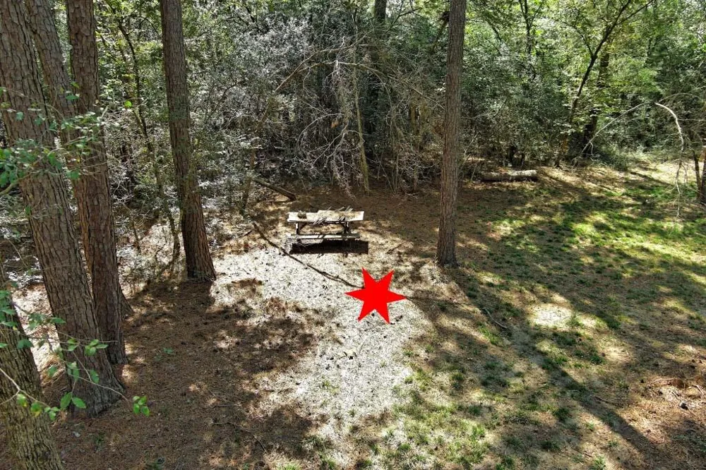 Bryan Lane Willis, TX 77378