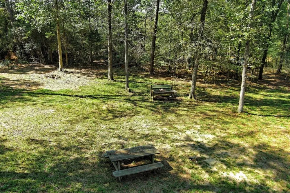 Bryan Lane Willis, TX 77378