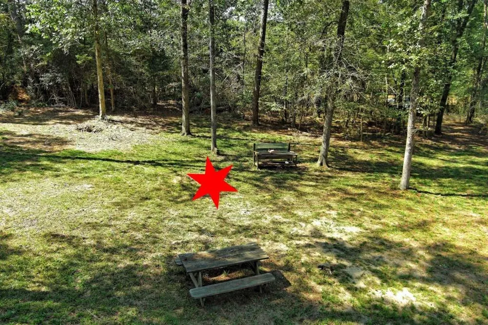 Bryan Lane Willis, TX 77378