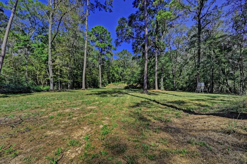 Bryan Lane Willis, TX 77378
