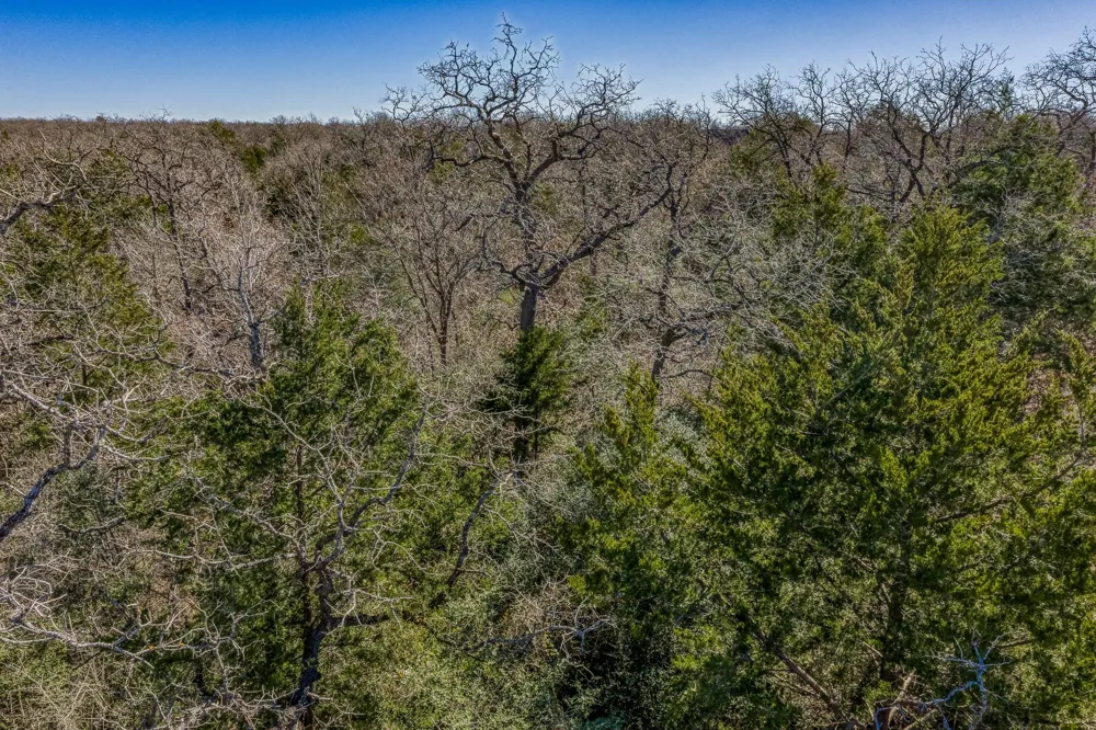 2113 County Road 278 Somerville, TX 77879