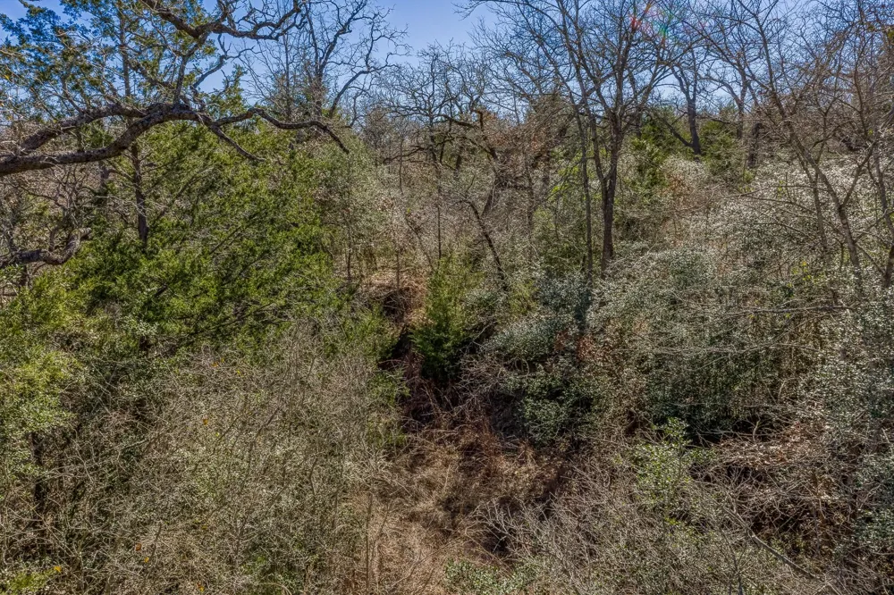 2113 County Road 278 Somerville, TX 77879