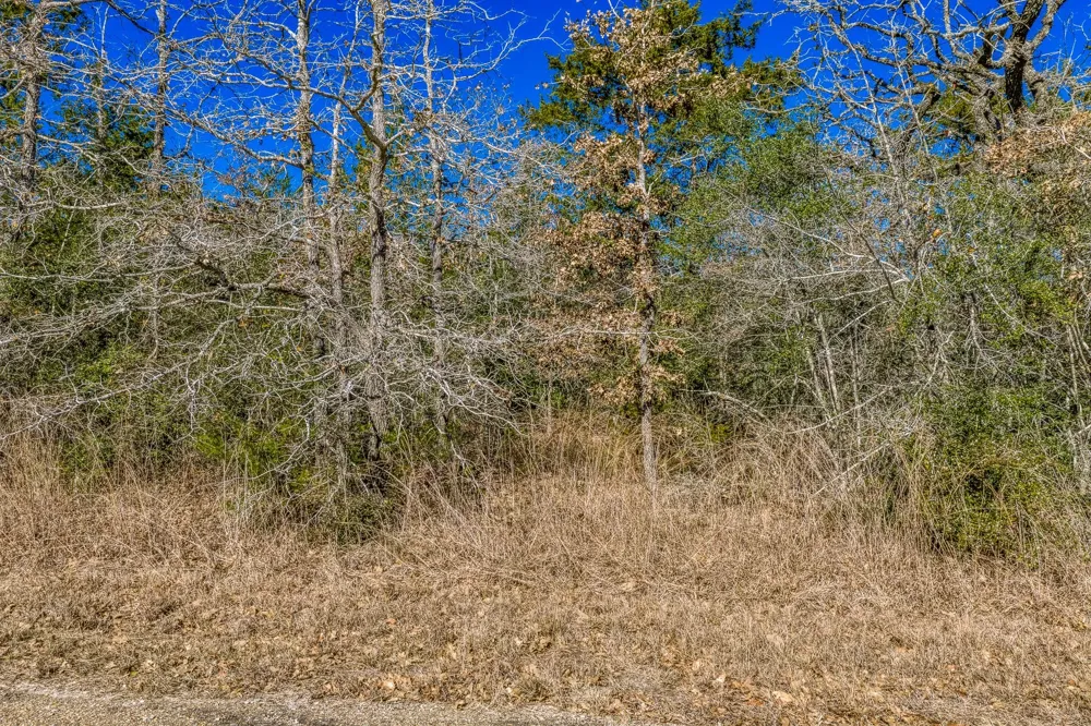 2113 County Road 278 Somerville, TX 77879