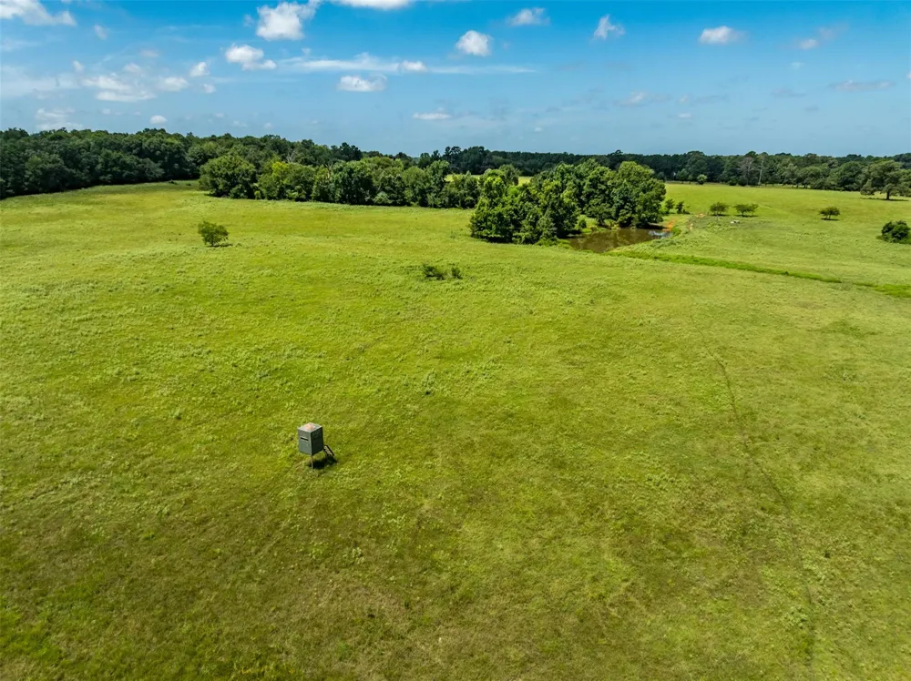 1044 Acr 379 Palestine, TX 75801