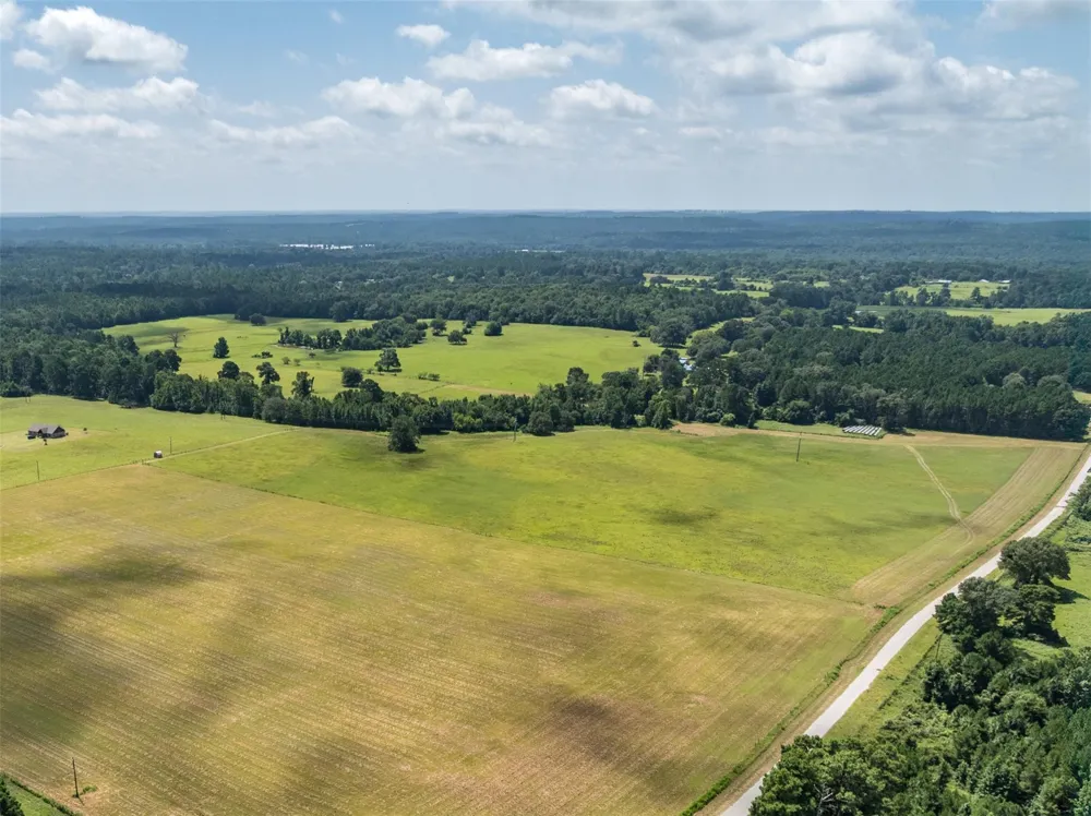 1044 Acr 379 Palestine, TX 75801