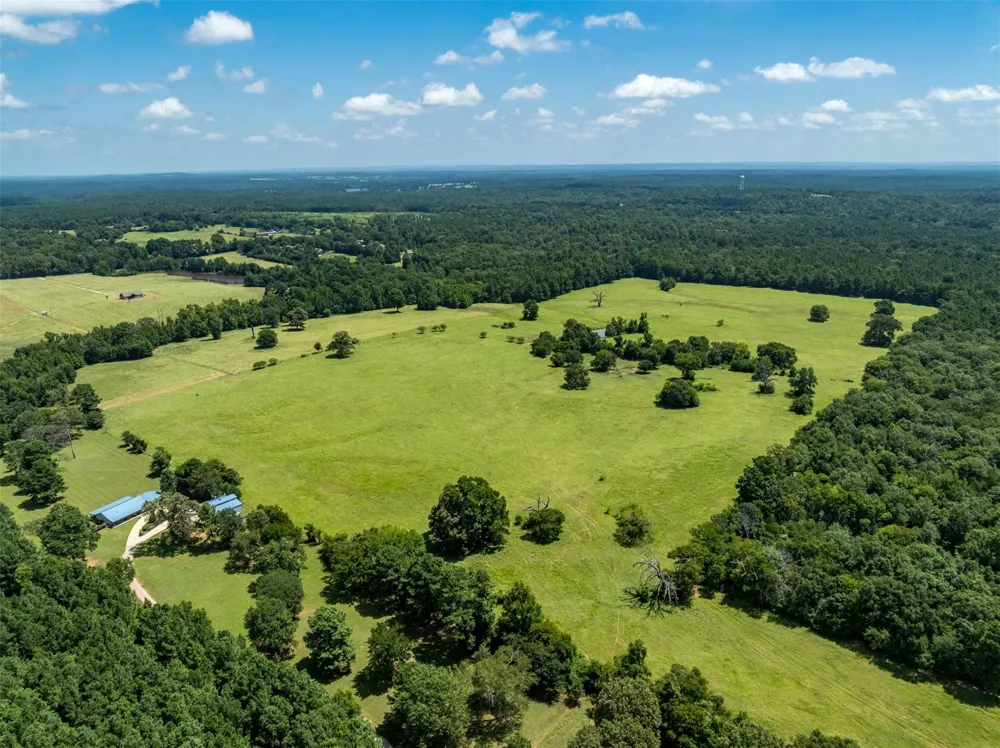 1044 Acr 379 Palestine, TX 75801