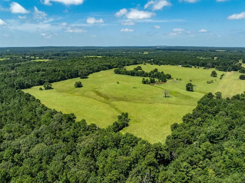 1044 Acr 379 Palestine, TX 75801