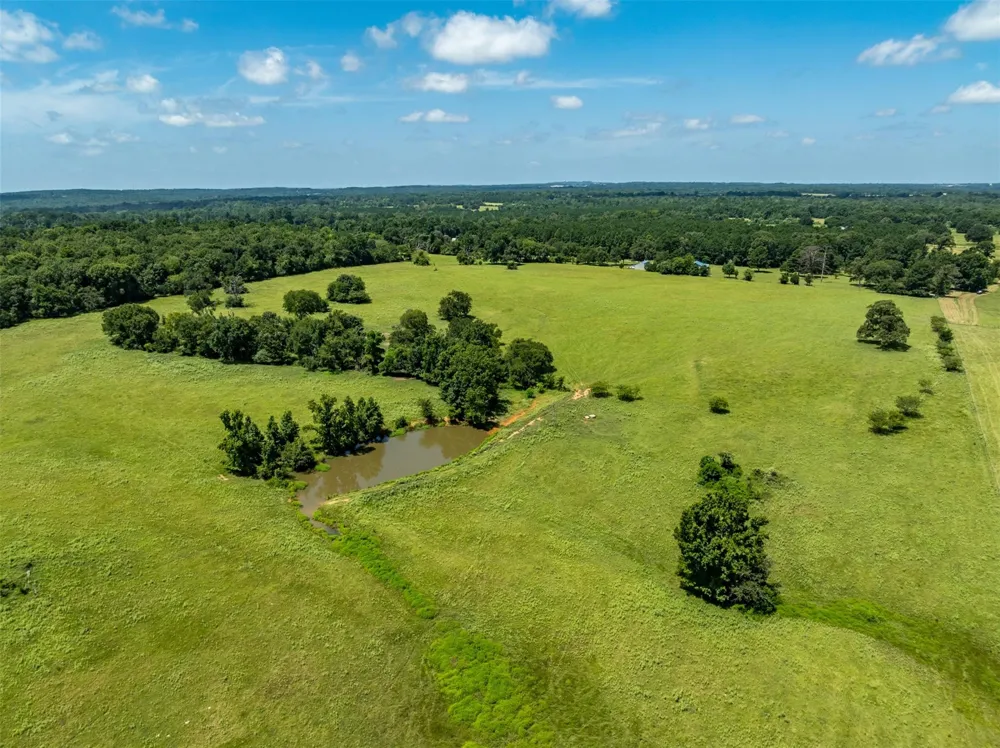 1044 Acr 379 Palestine, TX 75801