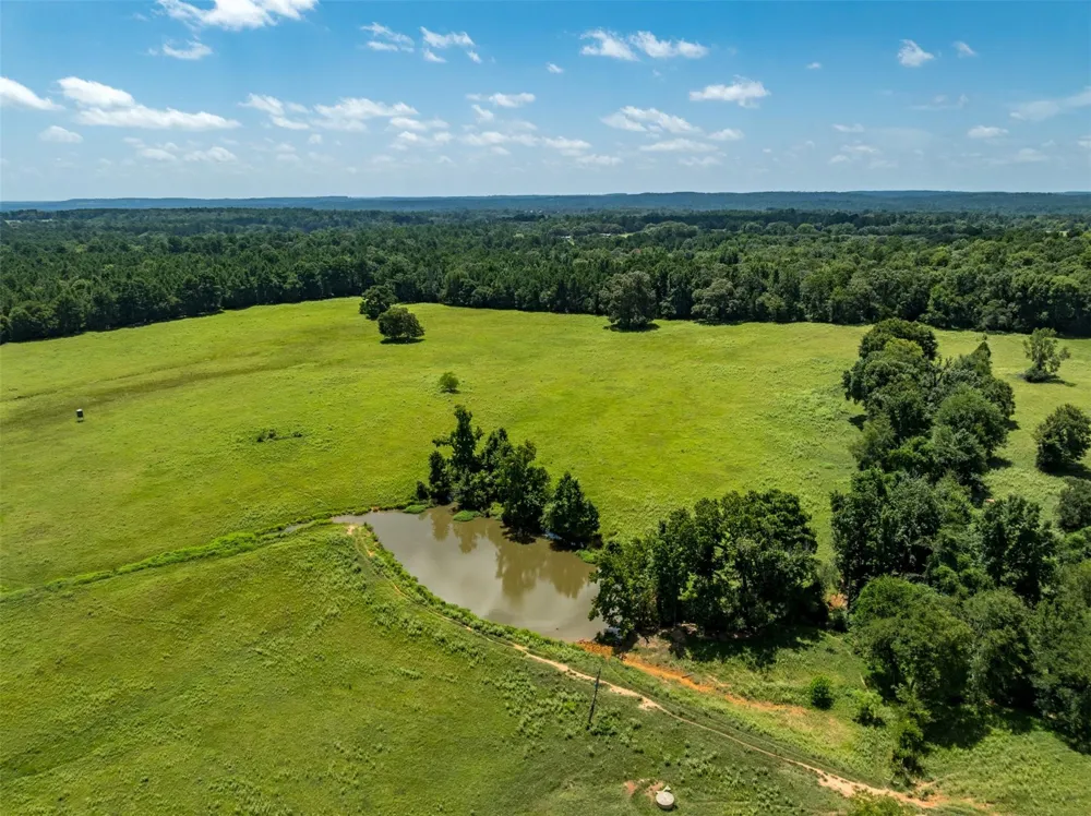 1044 Acr 379 Palestine, TX 75801