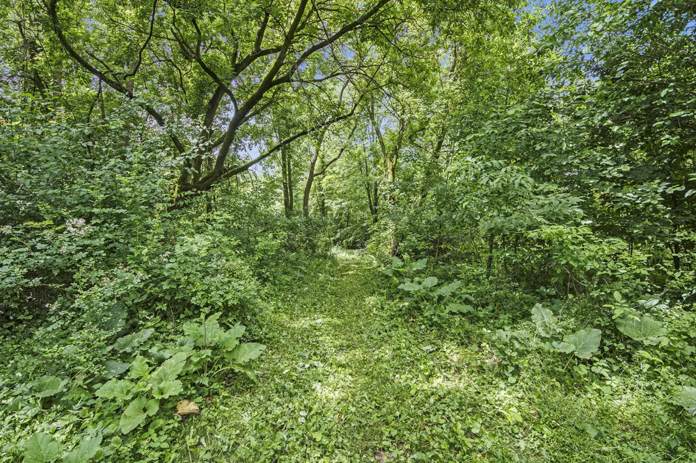7079 Hanna Lake Avenue SE Caledonia, MI 49316