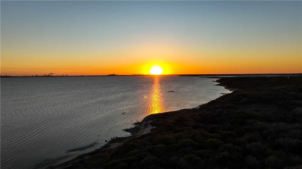CR 3161 & 2220 Taft, TX 78390