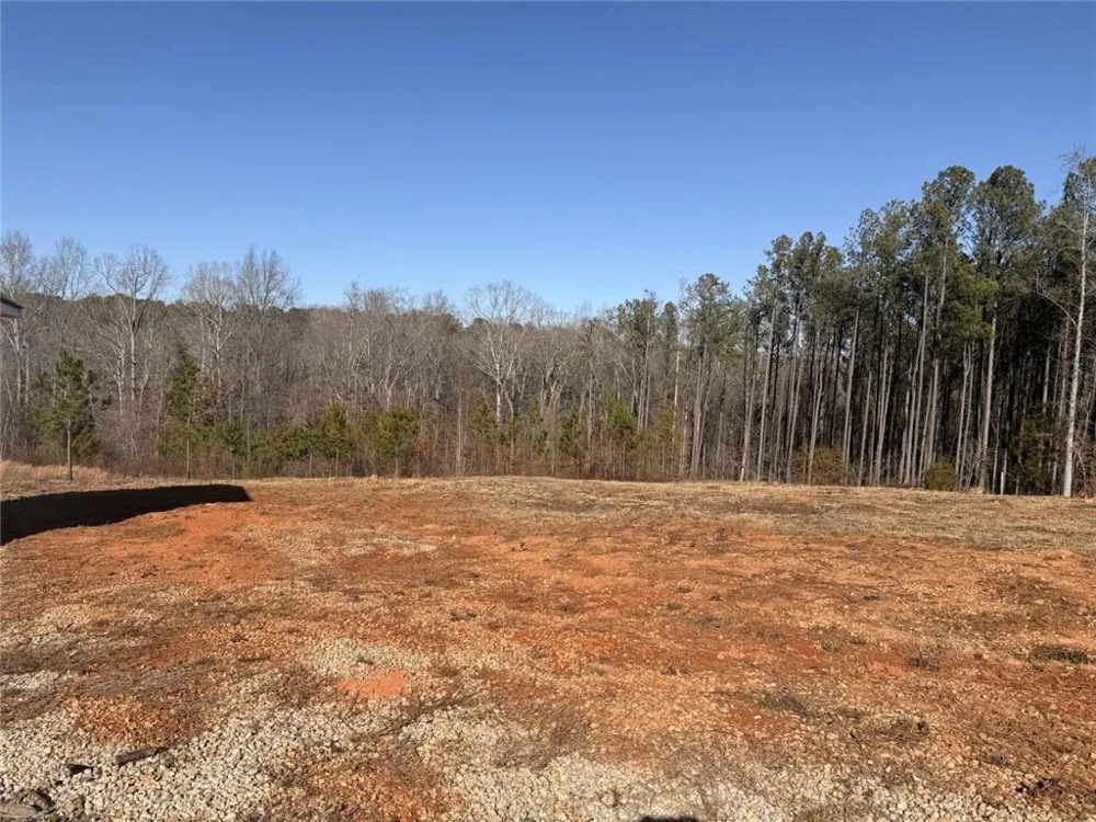 3445 Silas Mercer Road NE Crawfordville, GA 30631