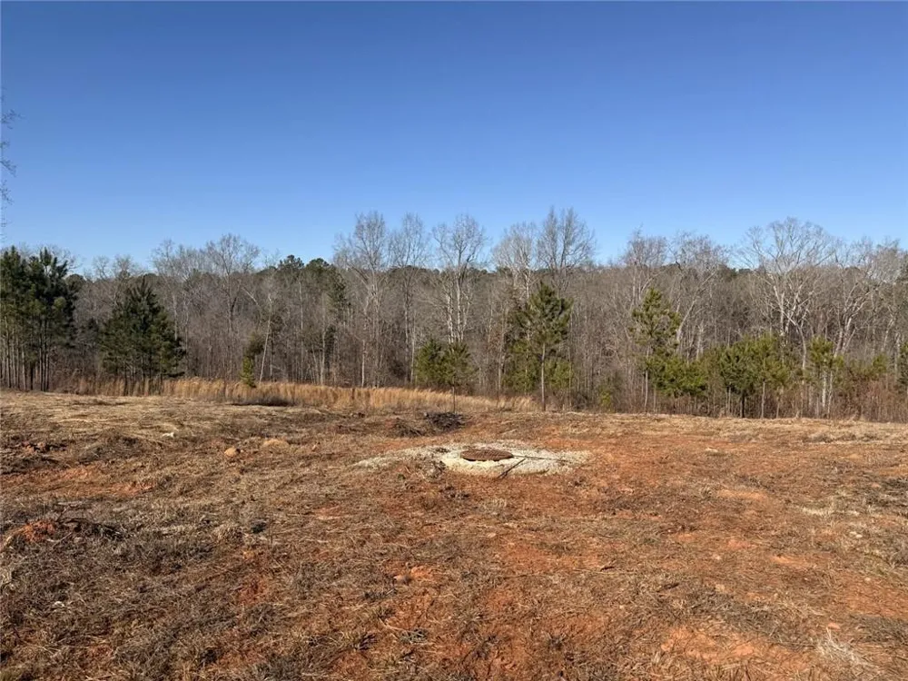3445 Silas Mercer Road NE Crawfordville, GA 30631
