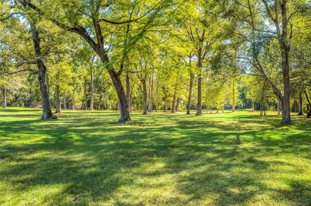27843 Krezdorn Road Hockley, TX 77447