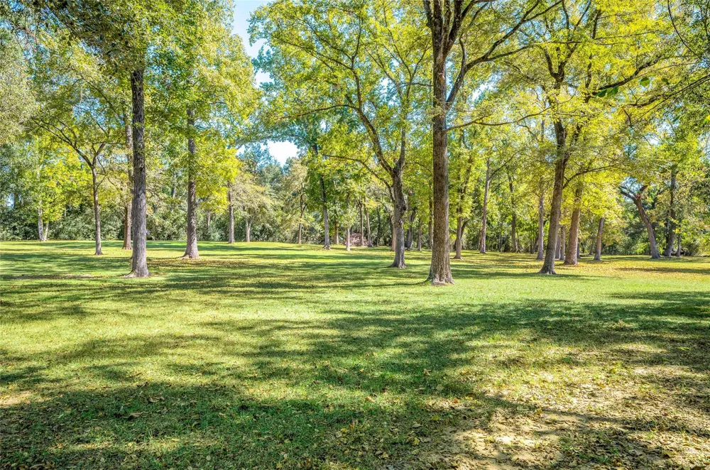 27843 Krezdorn Road Hockley, TX 77447