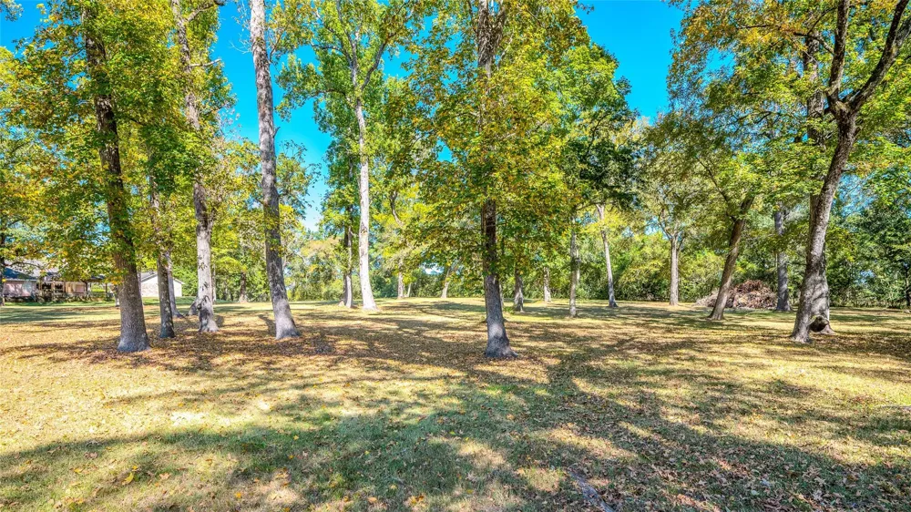 27843 Krezdorn Road Hockley, TX 77447