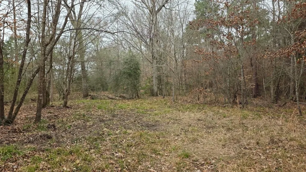 10441 Us 287 Chester, TX 75936