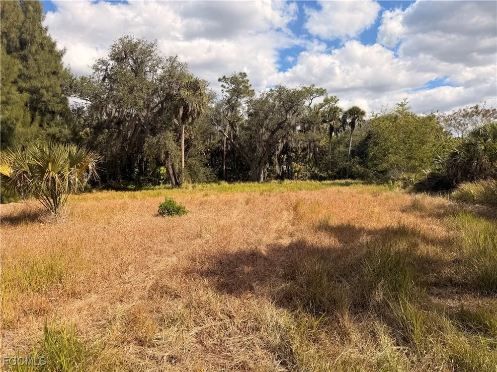 Pelican Way North Fort Myers, FL 33917