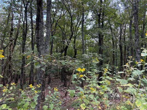 0 Little Hendricks Mountain