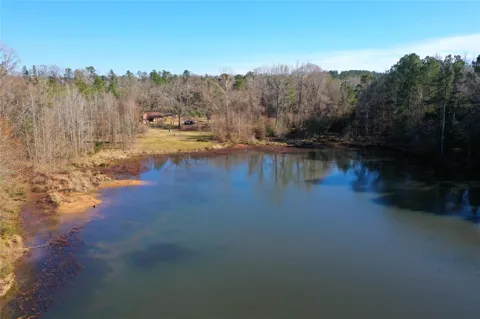 3901 County Road 1585