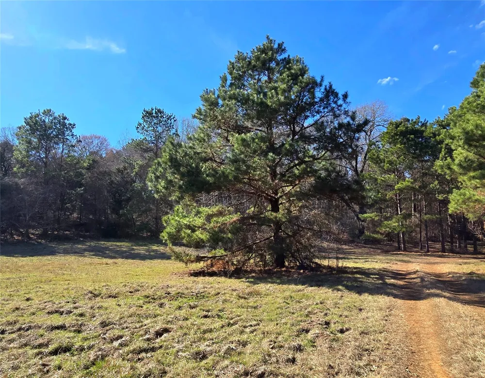 3901 County Road 1585 Grapeland, TX 75844