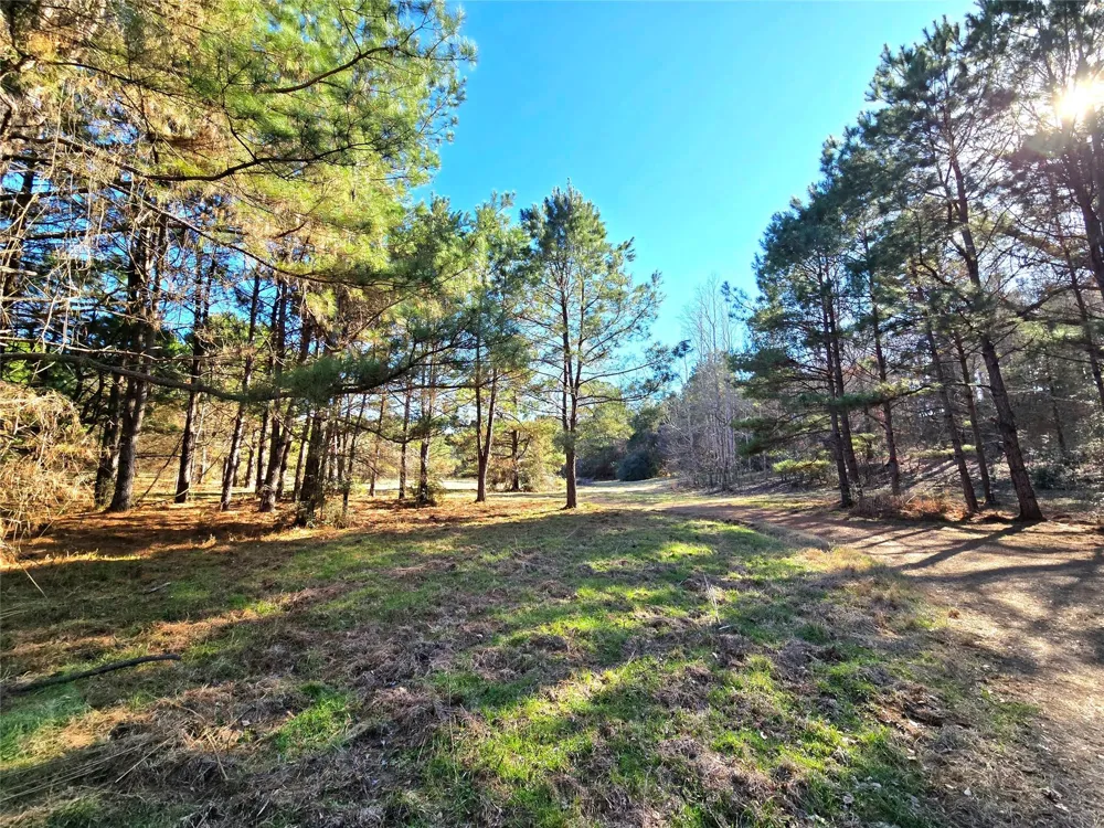 3901 County Road 1585 Grapeland, TX 75844