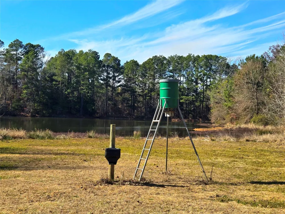 3901 County Road 1585 Grapeland, TX 75844