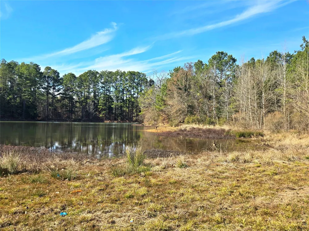 3901 County Road 1585 Grapeland, TX 75844