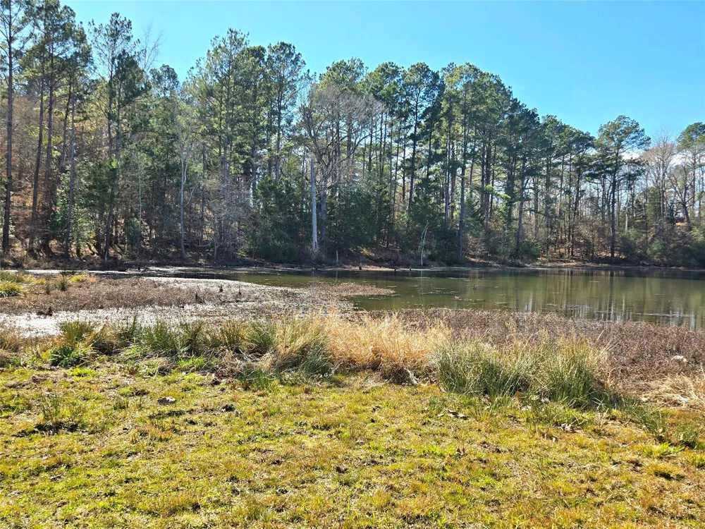 3901 County Road 1585 Grapeland, TX 75844