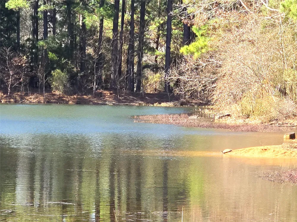 3901 County Road 1585 Grapeland, TX 75844