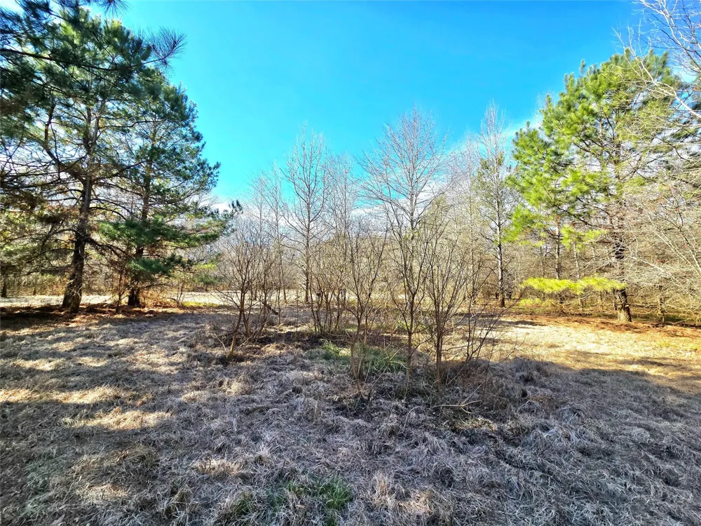 3901 County Road 1585 Grapeland, TX 75844