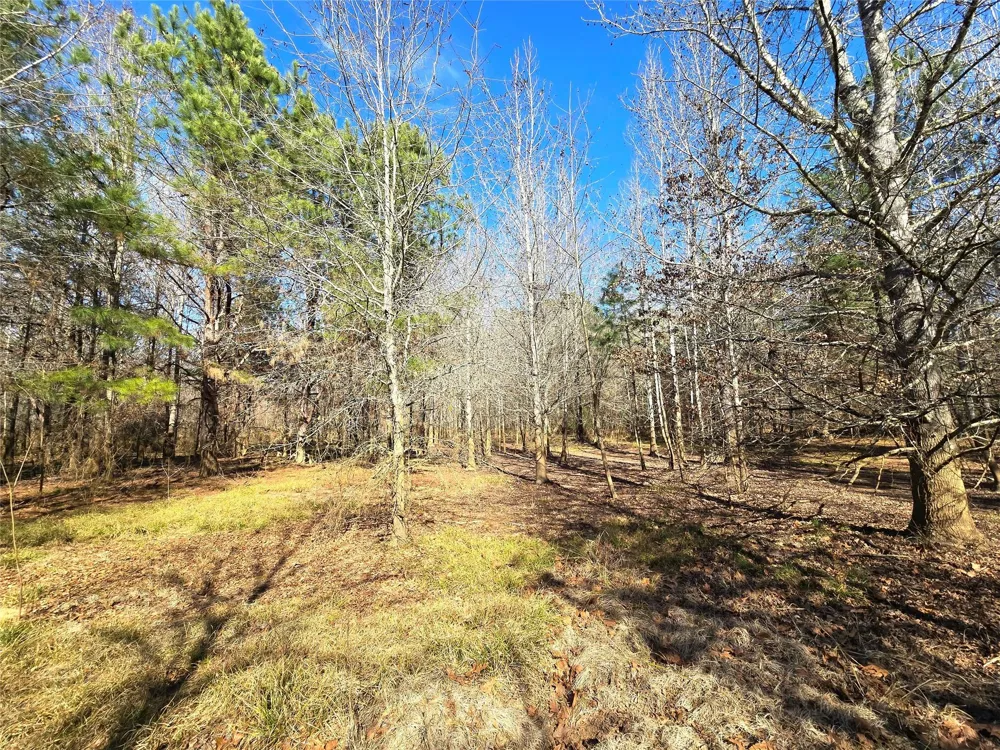 3901 County Road 1585 Grapeland, TX 75844