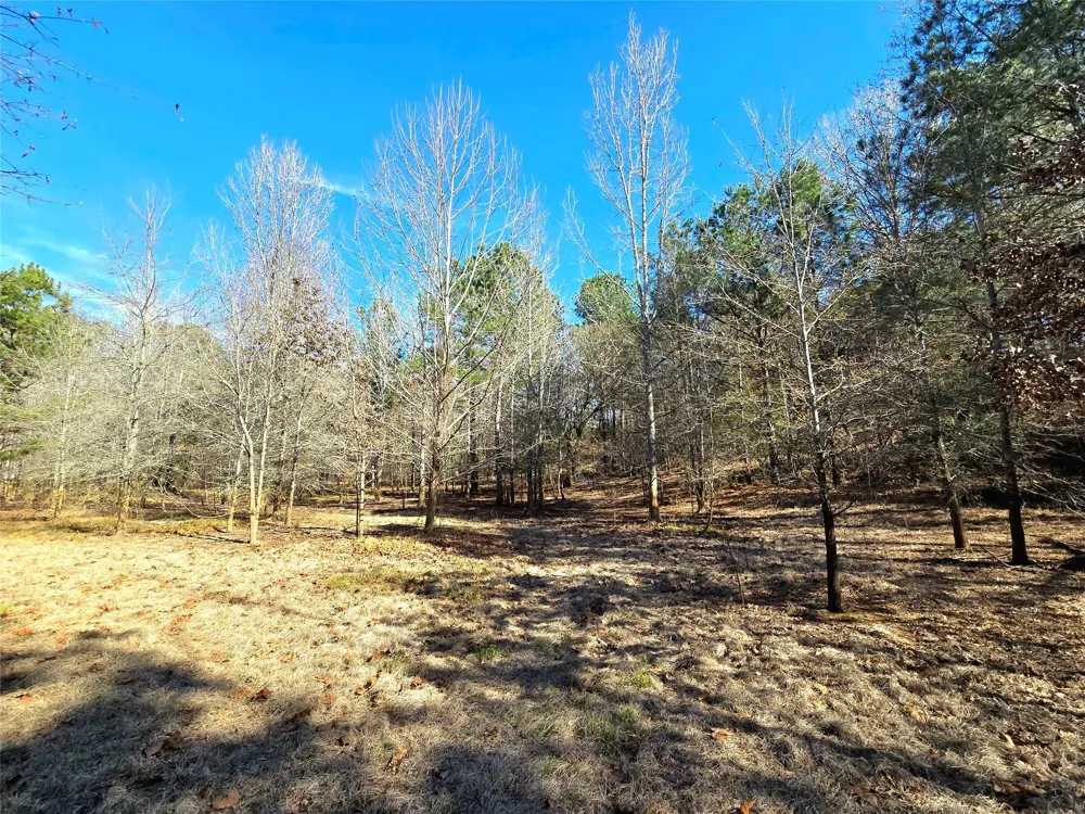 3901 County Road 1585 Grapeland, TX 75844