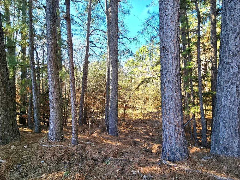 3901 County Road 1585 Grapeland, TX 75844