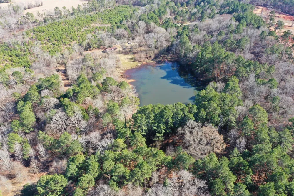 3901 County Road 1585 Grapeland, TX 75844