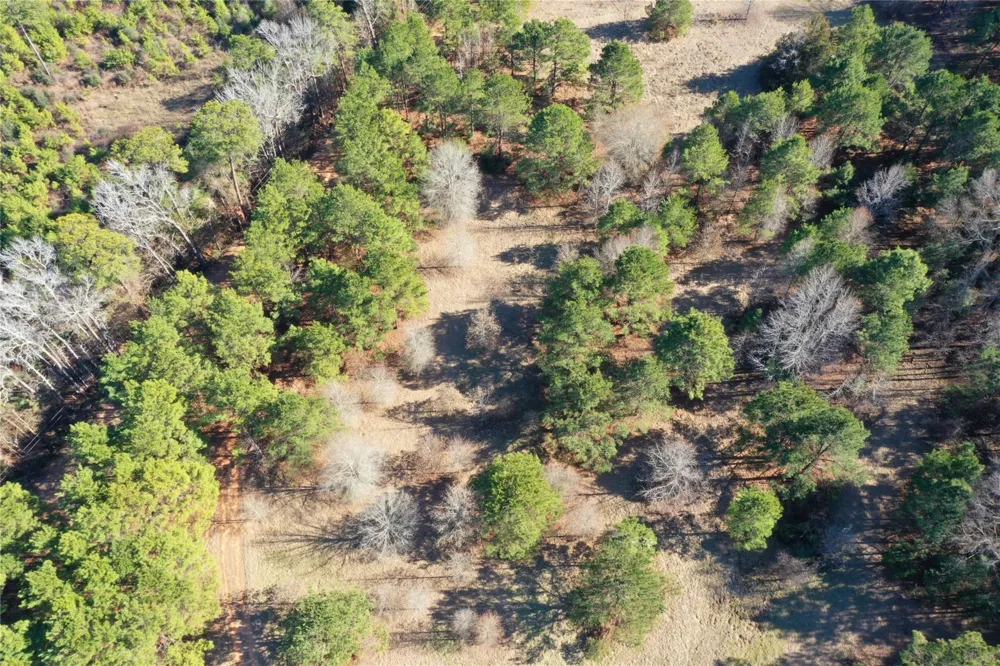 3901 County Road 1585 Grapeland, TX 75844