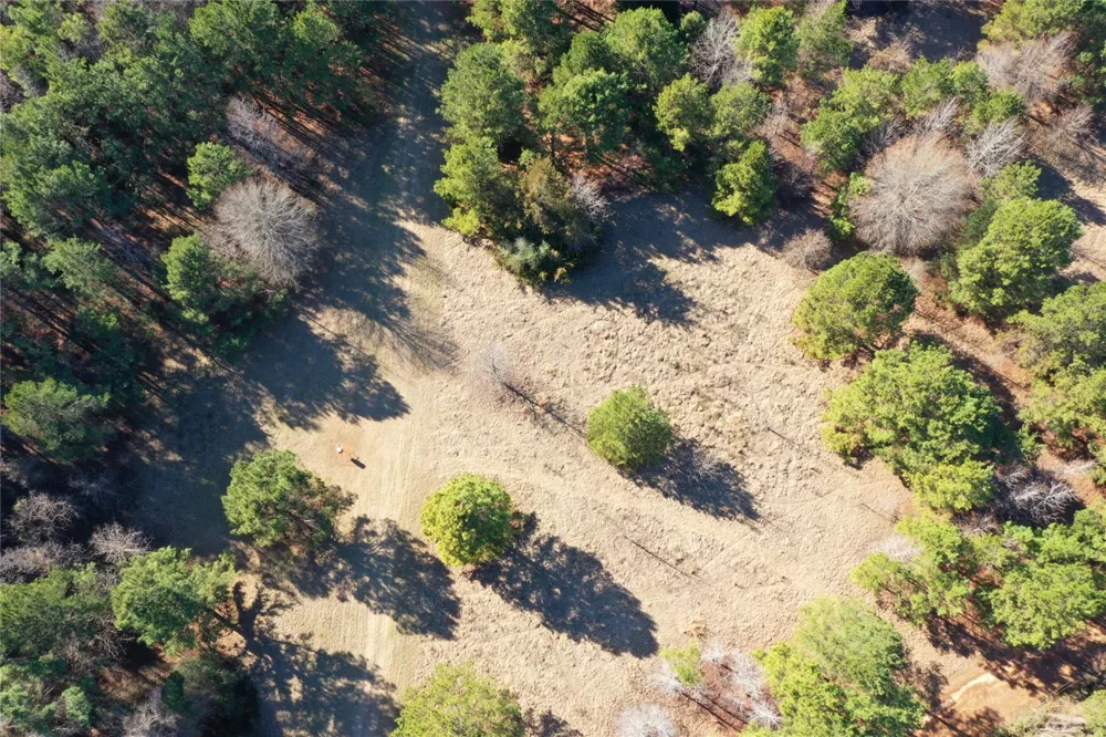 3901 County Road 1585 Grapeland, TX 75844