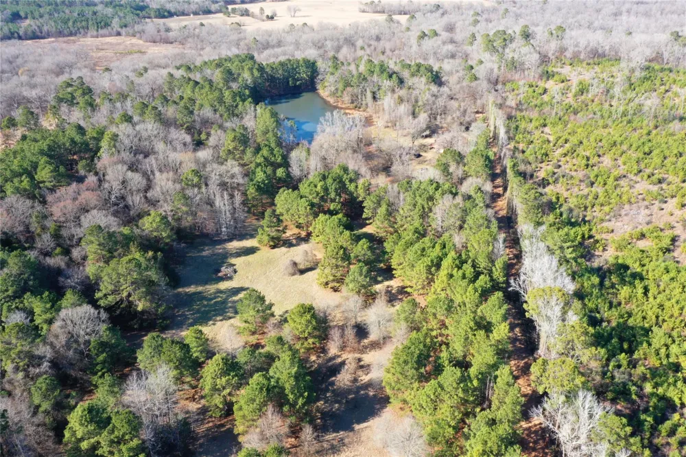 3901 County Road 1585 Grapeland, TX 75844