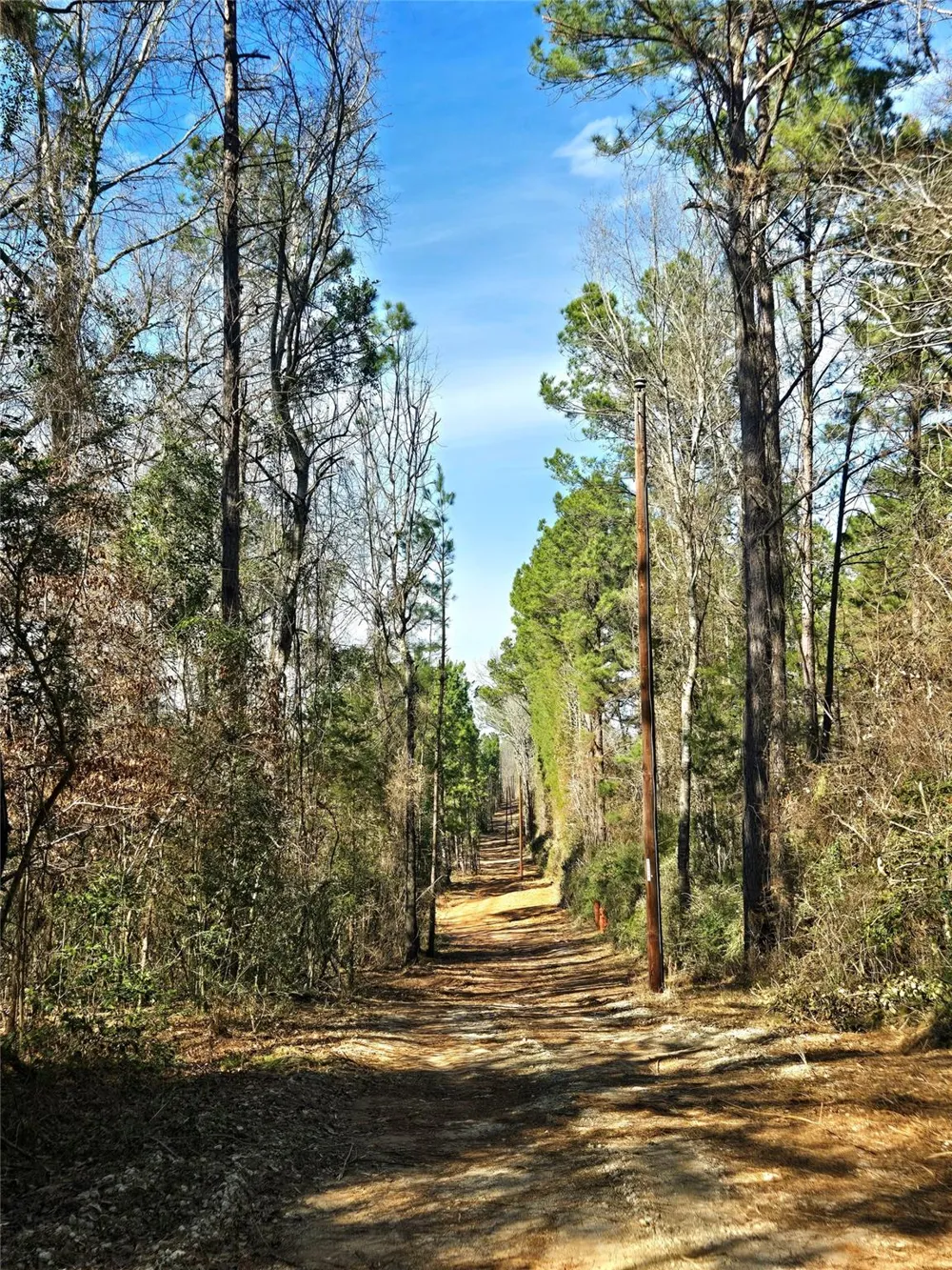 3901 County Road 1585 Grapeland, TX 75844