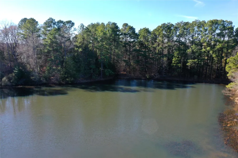 3901 County Road 1585 Grapeland, TX 75844