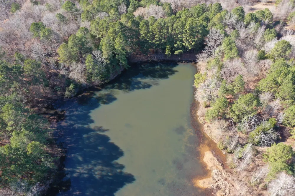 3901 County Road 1585 Grapeland, TX 75844