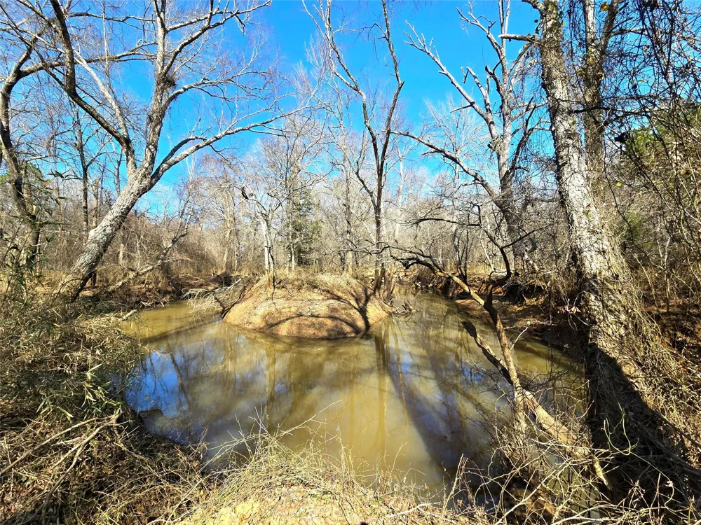 3901 County Road 1585 Grapeland, TX 75844