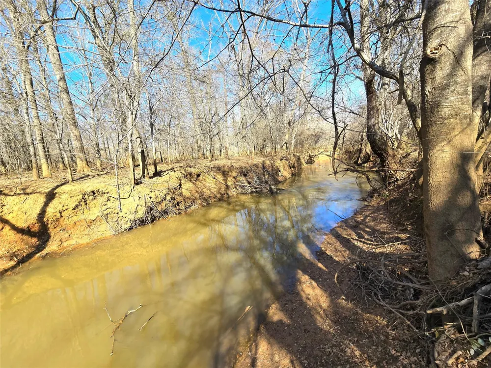 3901 County Road 1585 Grapeland, TX 75844