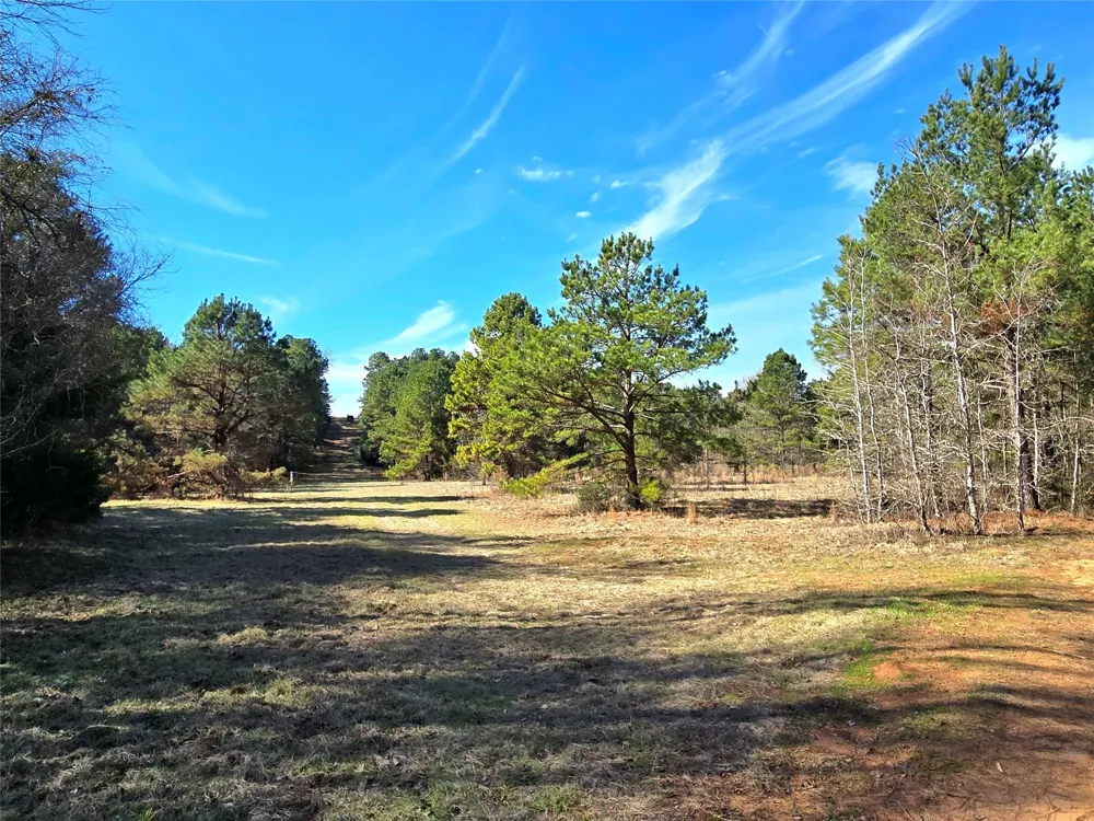 3901 County Road 1585 Grapeland, TX 75844