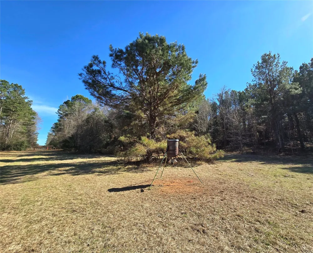 3901 County Road 1585 Grapeland, TX 75844