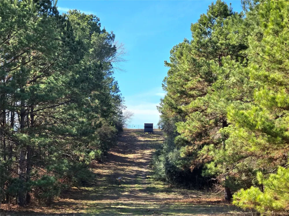 3901 County Road 1585 Grapeland, TX 75844