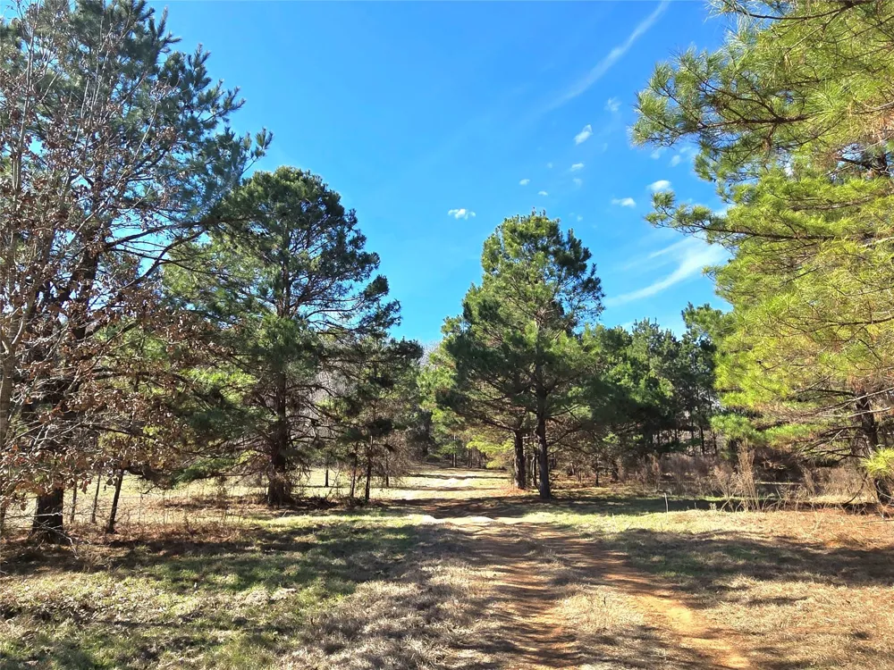 3901 County Road 1585 Grapeland, TX 75844