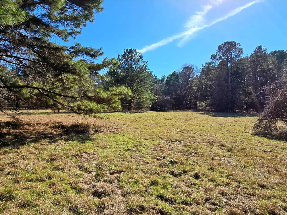 3901 County Road 1585 Grapeland, TX 75844