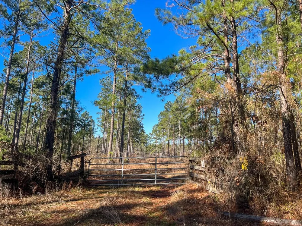 4 Highway 287 Pennington, TX 75845